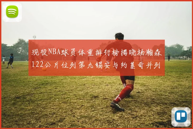 现役NBA球员体重排行榜揭晓杨瀚森122公斤位列第九锡安与约基奇并列第三