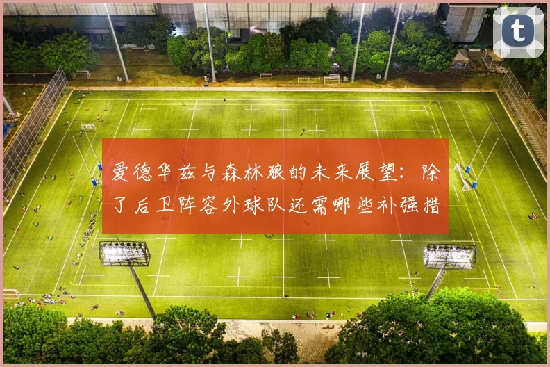 爱德华兹与森林狼的未来展望：除了后卫阵容外球队还需哪些补强措施
