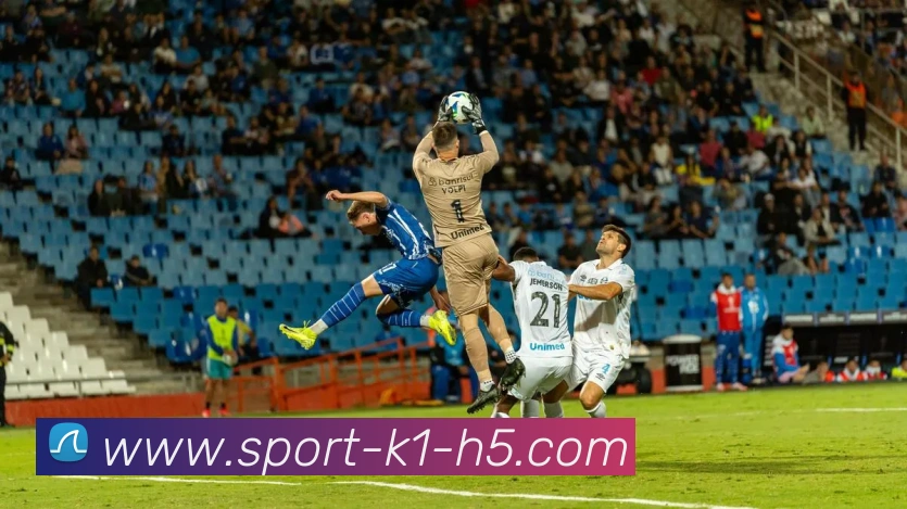 k1体育平台生态图