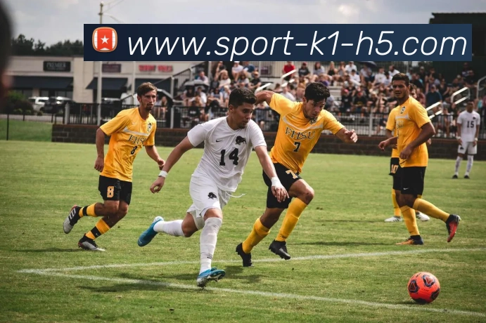 数据防护可视化